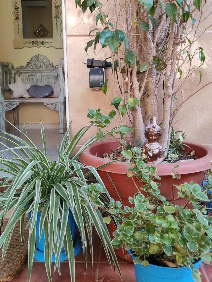 Cool Garden And Suite Mairena del Aljarafe Exterior foto