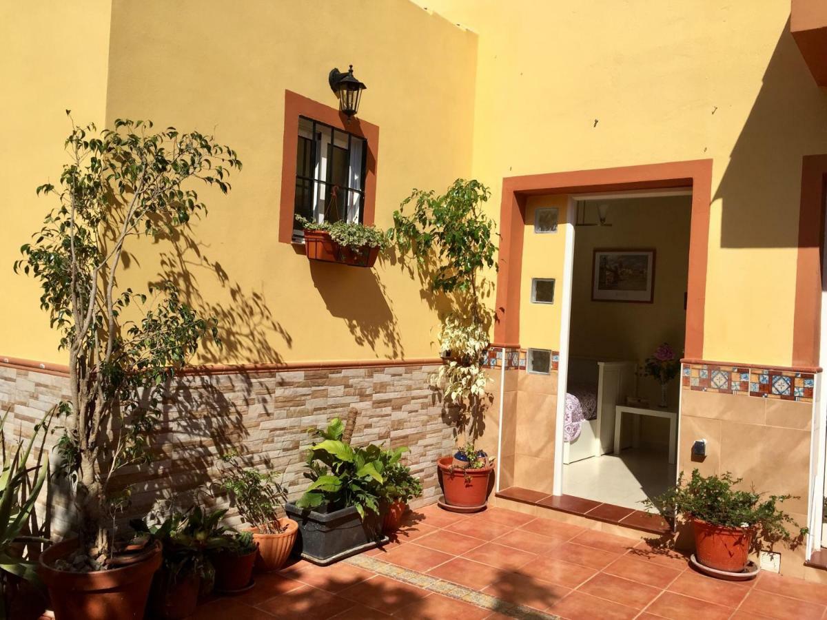 Cool Garden And Suite Mairena del Aljarafe Exterior foto